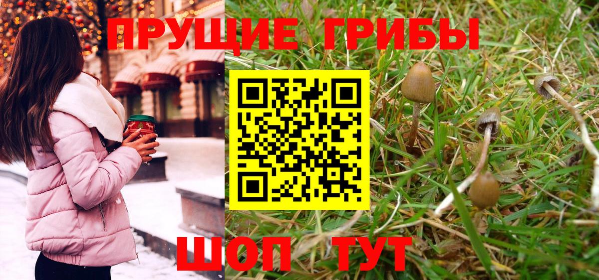 Галлюциногенные грибы Cubensis Вязьма