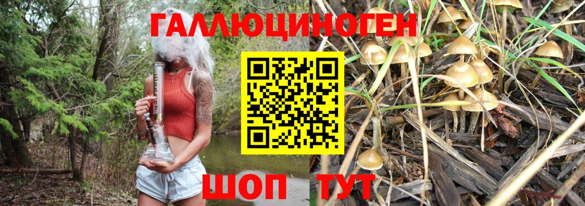 где найти наркотики  Псилоцибиновые грибы Cubensis  Вход с VPN  Вязьма 